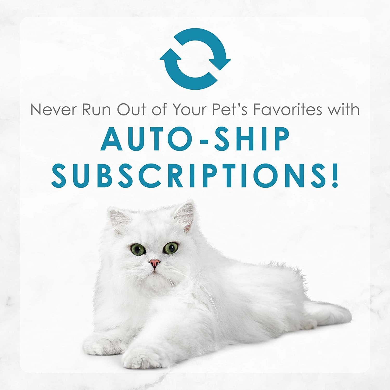 FANCY FEAST Adult Wet Cat Food Classic Seafood Grilled Collection 24X85G